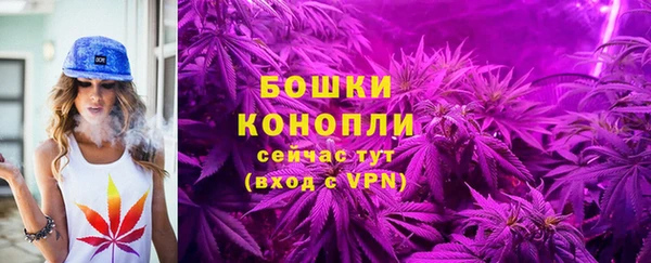 соль курить ск Ельня