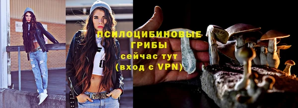 СК Беломорск